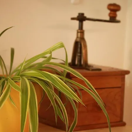 Lovely 3room In Kalamaja Next To Oldtown 公寓 塔林
